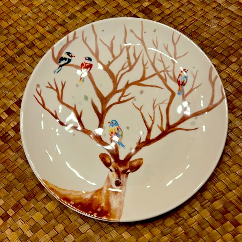 PIER 1  SET OF 4  ALEXANDER PLATES!